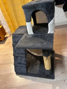 arbre à chat