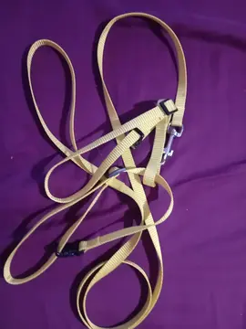 Harnais et laisse pour chat ou petit chien mais petite taille