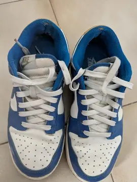 baskets femme Nike