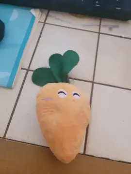 petite peluche carotte pour petit chien