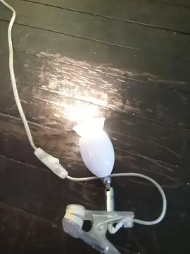 lampe de chevet à pince