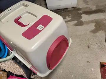 caisse à litière pour chat adulte