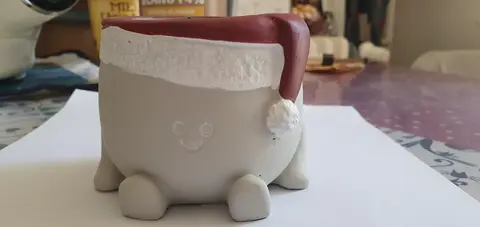 mini pot planté