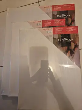 3 toiles de peintre