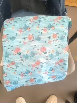 2 ème pochette à chaussures