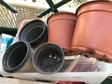 12 pots à semis/ bouturage / jardinage