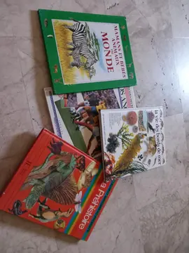 lot livres enfant