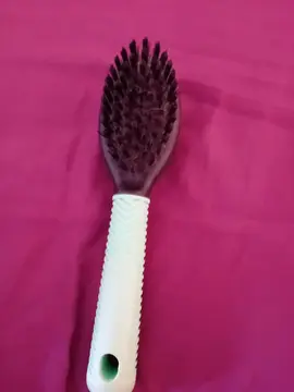 Brosse pour animal
