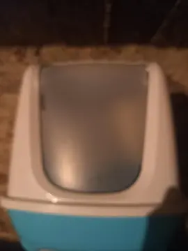litière chat