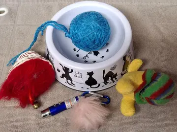 accessoires pour chats