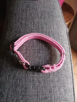 collier chat