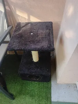 arbre à chat