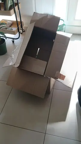 cartons