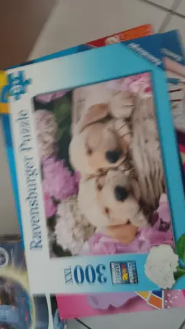 puzzle 300 pièces