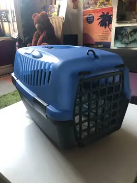 caisse de transport chat ou petit chien