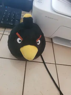 peluche noir a laver bon état