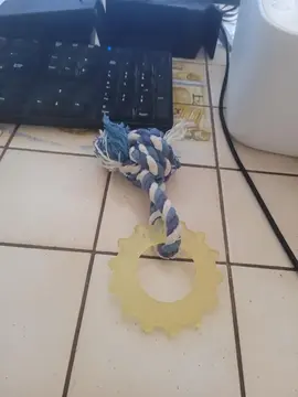 corde avec annaux dentaire pour chiot
