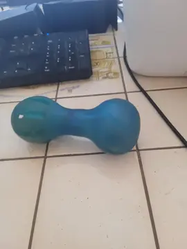 jouer bleu pour chien ete bon a laver