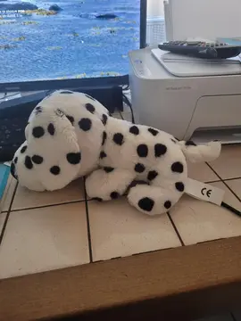 peluche chien bon état a laver que sa soit pour enfant ou chien