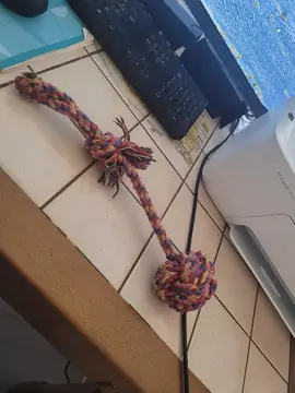 jouer corde pour chien bon état a laver