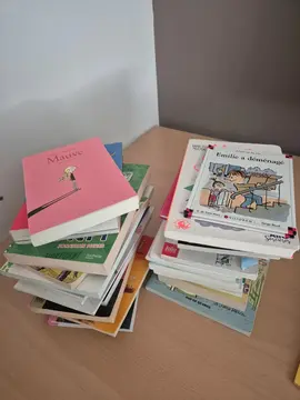 lot de livres pour enfant