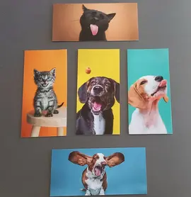 Log de cartes postales SPA
