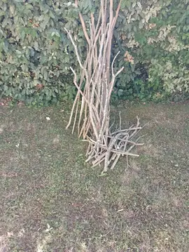 petit bois