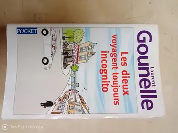 Livre développement personnel - Laurent GOUNELLE : Les dieux voyagent toujours incognito