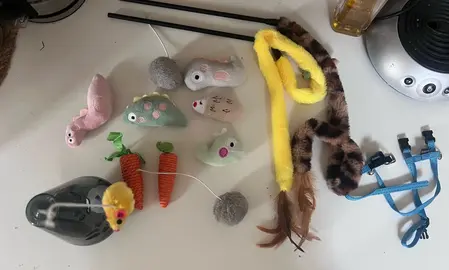 Lot de jouets pour chats