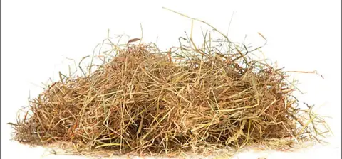 foin paille