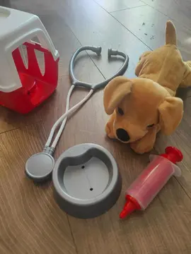 jouet chien vétérinaire