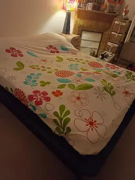 Donne lit + matelas+ sommier