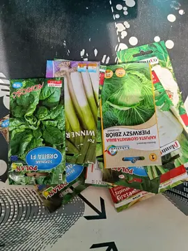 graines de légumes