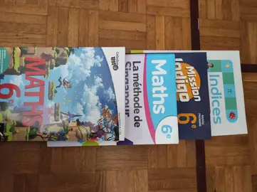 Manuel mathématiques 6e