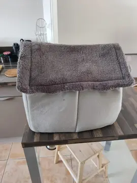 Maison pour chat