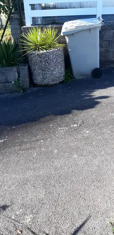 jardinière ciment
