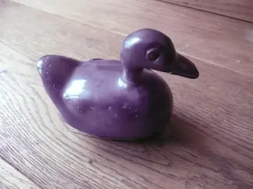 Petit canard