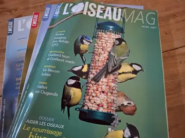 lot de revues pour amateurs d'oiseaux