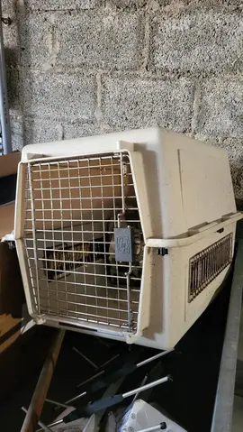 Cage chien de taille moyenne