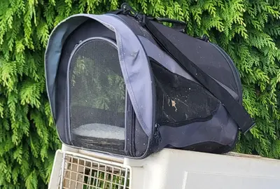 Sac de transport pour petit chien ou chat