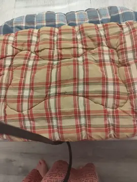 petit coussin chien où chat