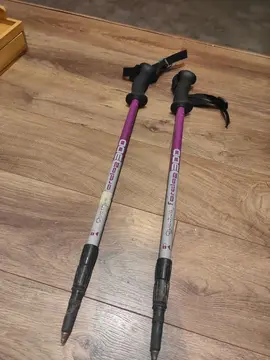 bâtons de randonnée