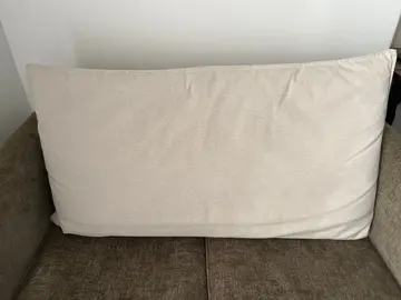 Deux grands coussins dossiers canapé