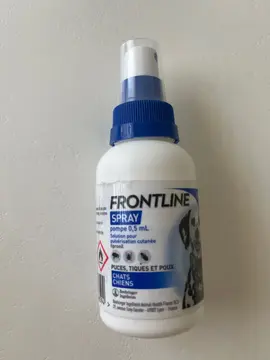 FRONTLINE SPRAY CHIEN