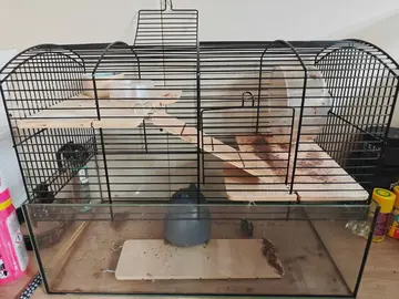 Cage Hamster