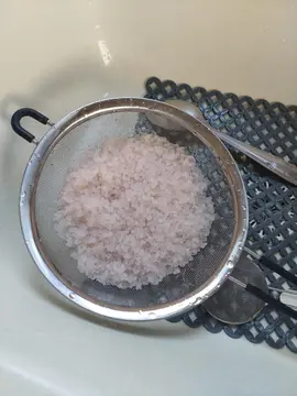 grains de kefir