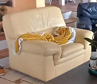 fauteuil cuir jaune