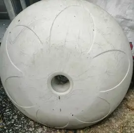 Pied parasol