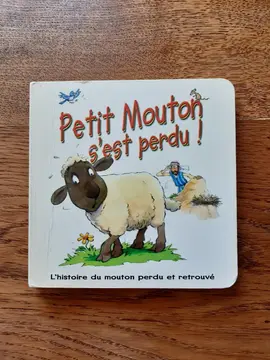 livre pour enfants "petit mouton s'est perdu "