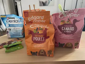 Donne croquettes et friandises pour chien
